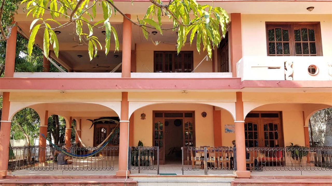 Villa Mango Hostel Puerto Escondido  Esterno foto