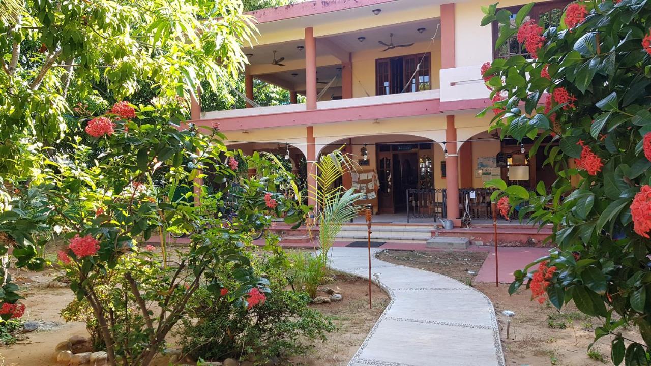 Villa Mango Hostel Puerto Escondido  Esterno foto